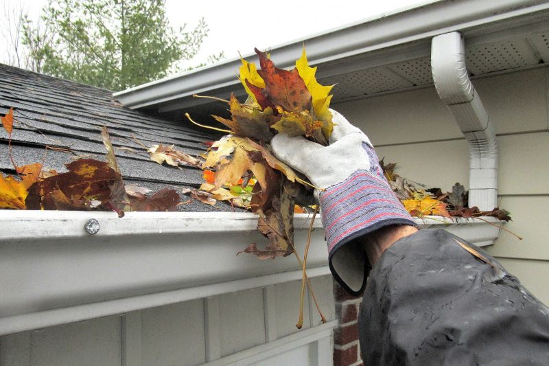 Gutter Maintenance in Action
