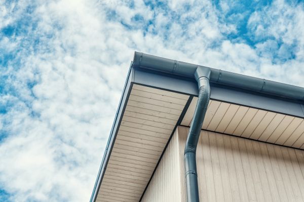 Gutter Fascia Repair in Ellenwood
